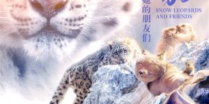 《雪豹和她的朋友们》在线观看阿里云盘高清电影【免费高清版】最新缩略图