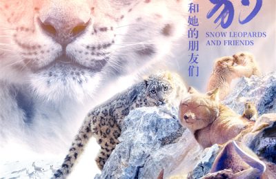 《雪豹和她的朋友们》在线观看阿里云盘高清电影【免费高清版】最新缩略图